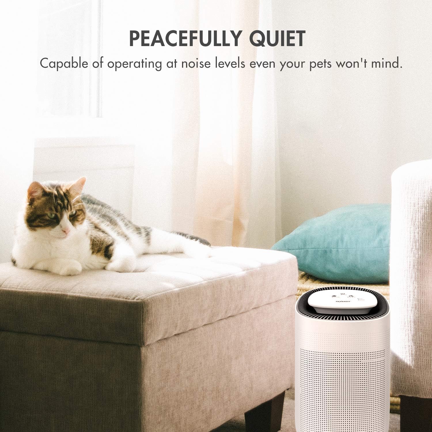 Sorbi 1000ml Air Dehumidifier w/Purifying Function, True HEPA Filter, Auto Shutoff, Touch Control Adjustable Air Speed, Ultra-Quiet, Ideal for Closets & Bathrooms